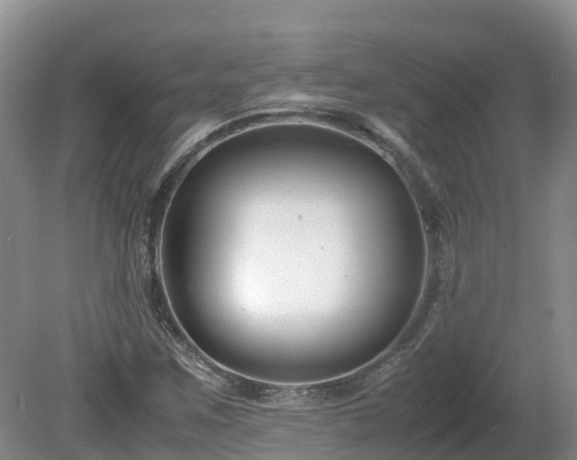 X0000081431259200701191613