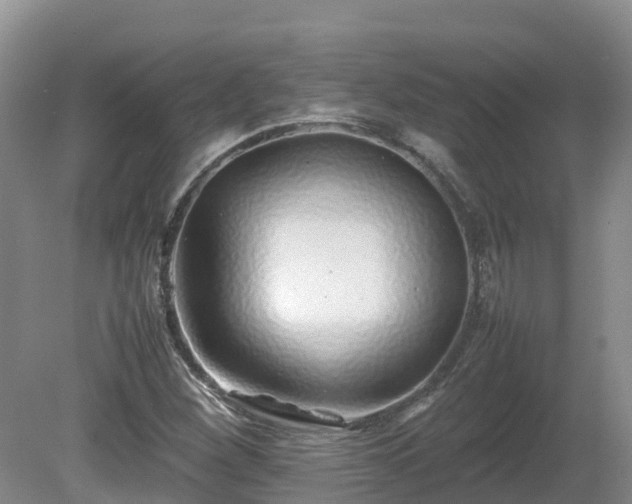 X0000081431260200701191613