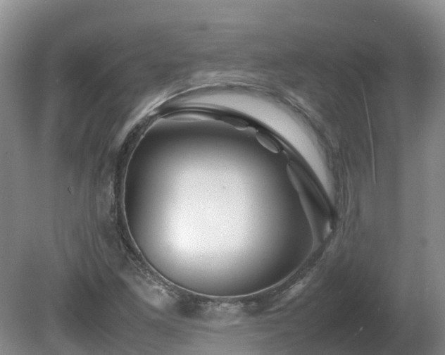 X0000081431261200701191613