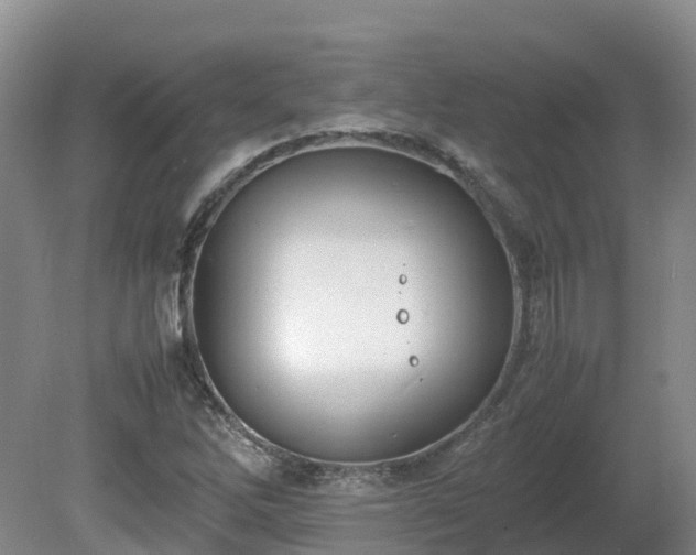 X0000081431262200701191613