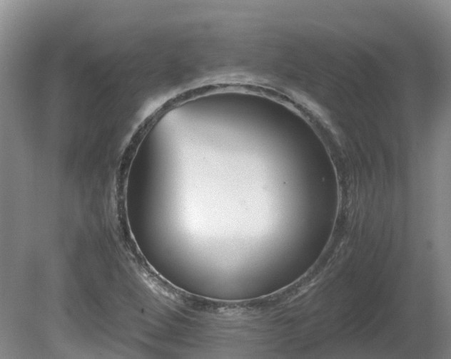 X0000081431264200701191613