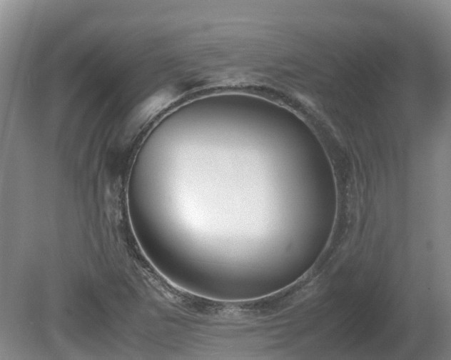 X0000081431265200701191612