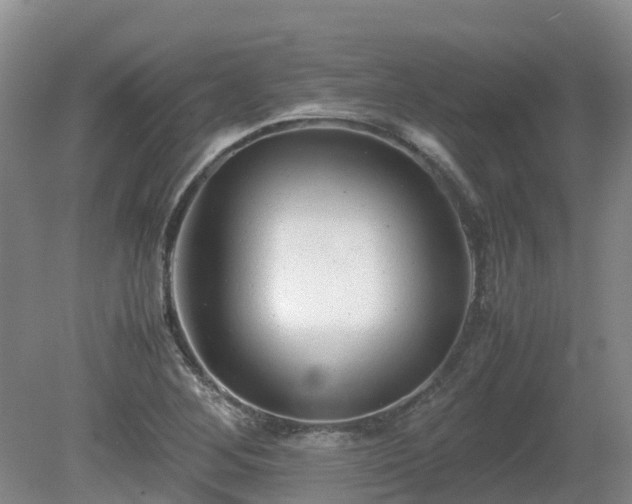X0000081431268200701191612