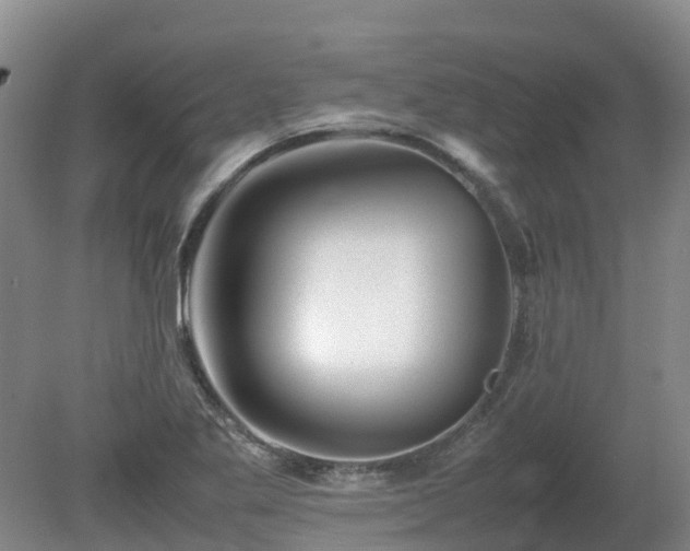 X0000081431269200701191612
