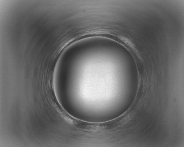 X0000081431273200701191612
