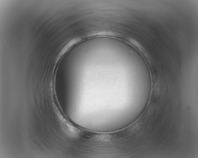 X0000081431282200701191612