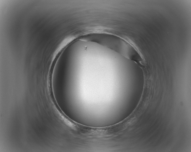 X0000081431285200701191612