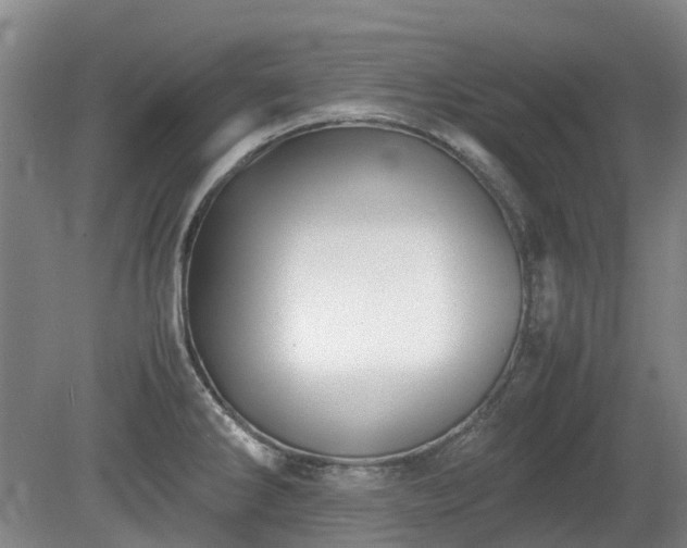 X0000081431286200701191612