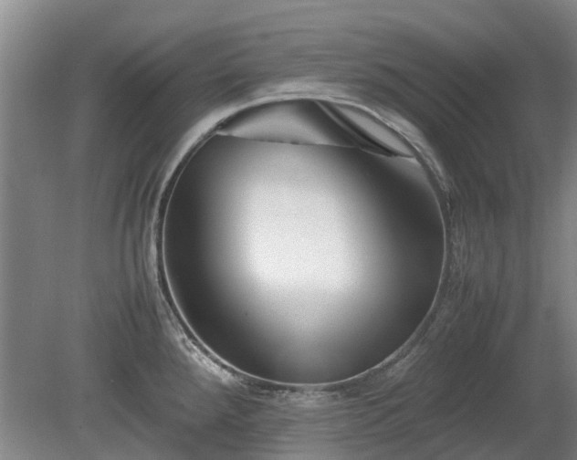 X0000081431288200701191612