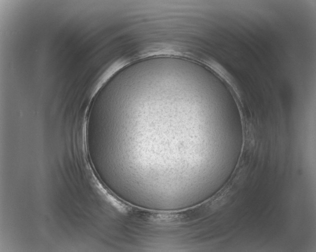 X0000081431290200701191612