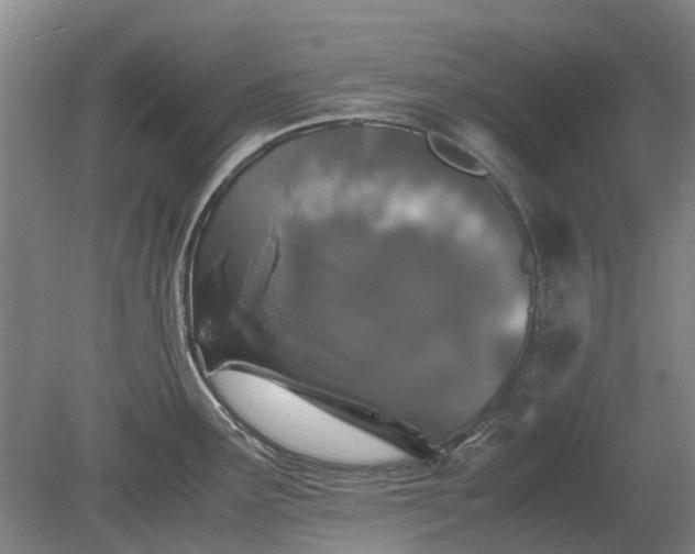 X0000081431291200701191612