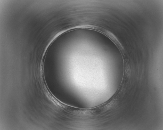 X0000081431292200701191612