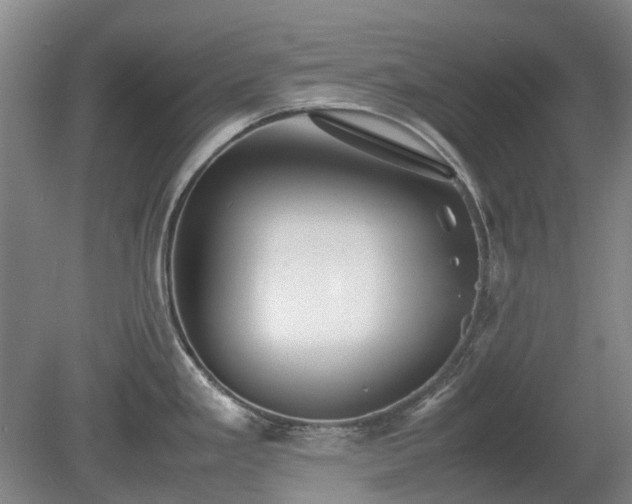 X0000081431293200701191612