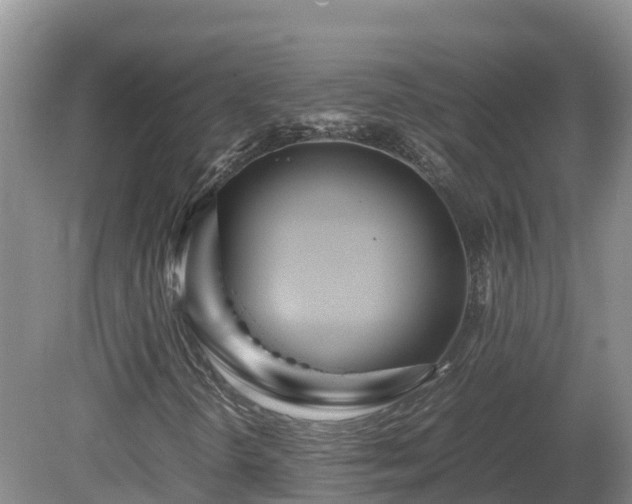 X0000081431298200701191611