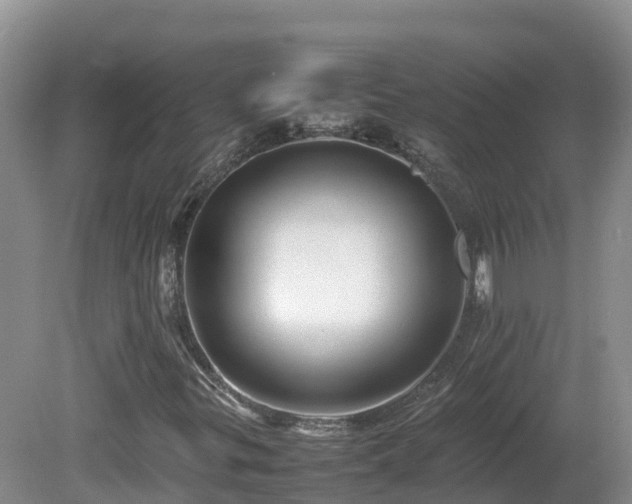 X0000081431299200701191611