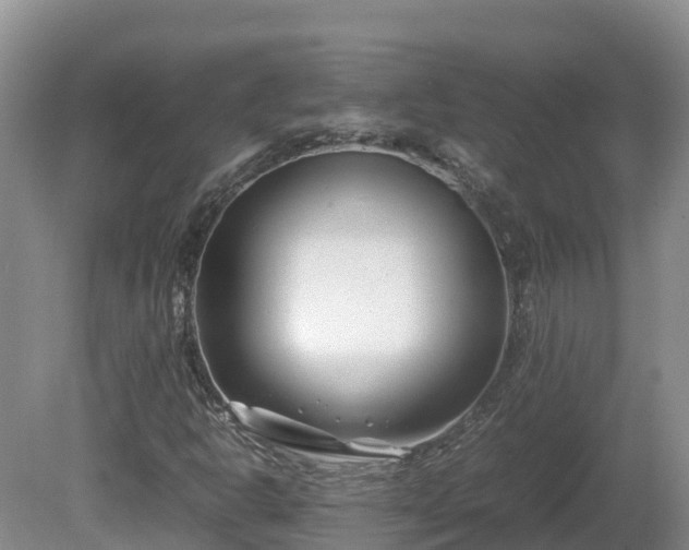 X0000081431302200701191611