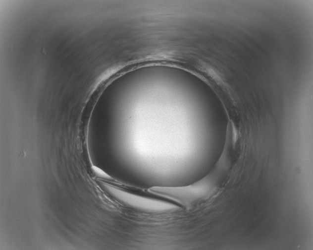 X0000081431308200701191611