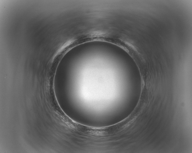 X0000081431309200701191611
