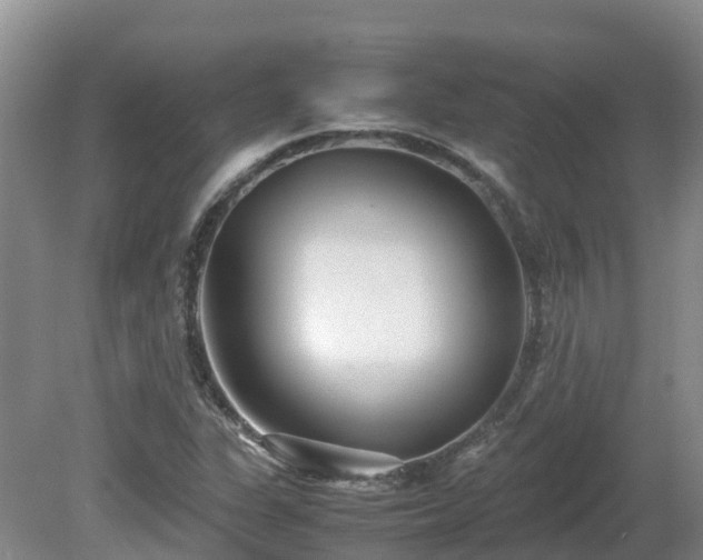 X0000081431311200701191611