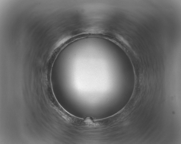 X0000081431315200701191611