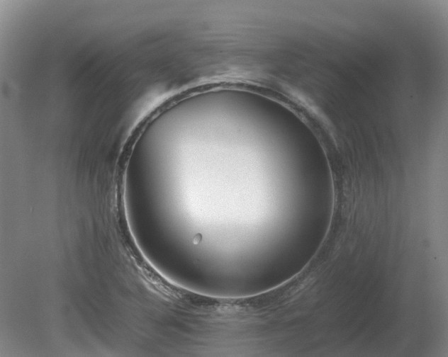 X0000081431316200701191611
