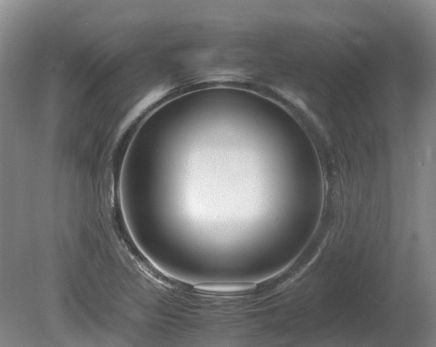 X0000081431317200701191611