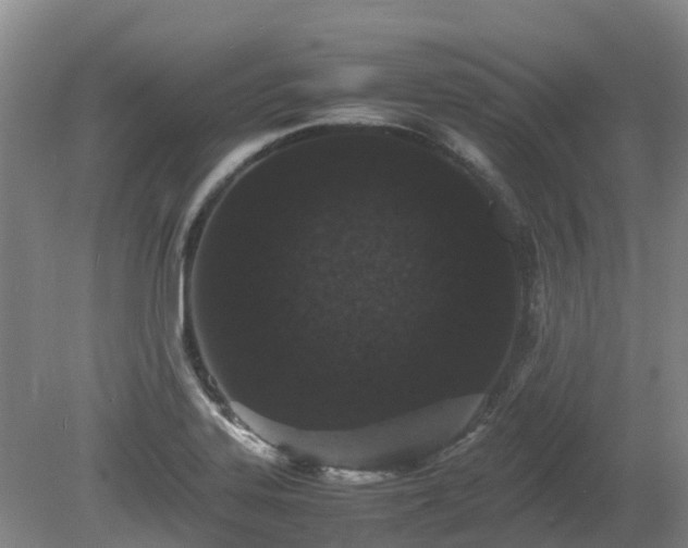 X0000081431323200701191612
