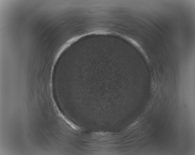 X0000081431327200701191612