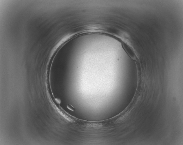 X0000081431333200701191612