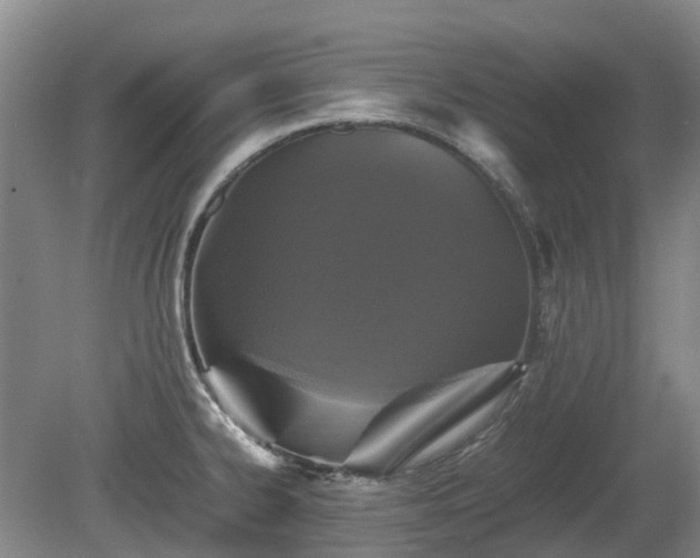 X0000081431334200701191612