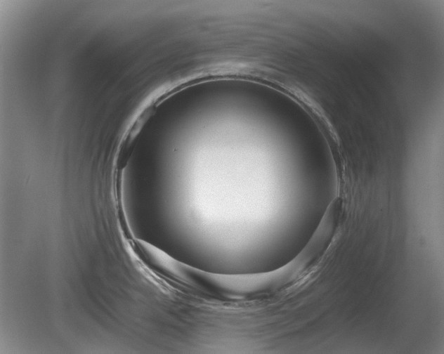 X0000081431342200701191612