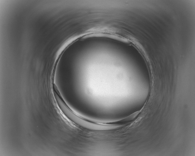 X0000081431344200701191612