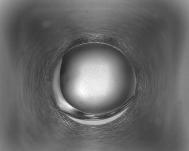 X0000081431345200701191611