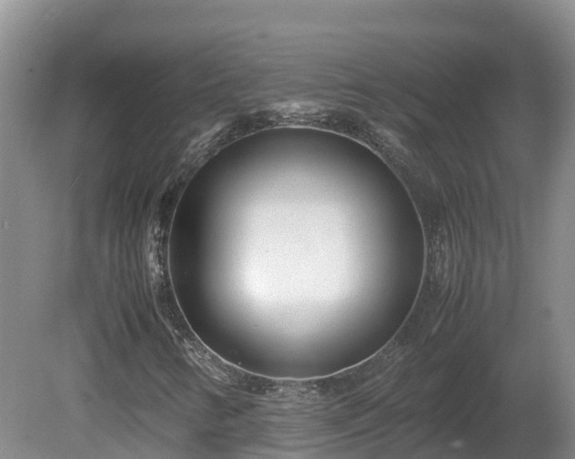 X0000081431346200701191611