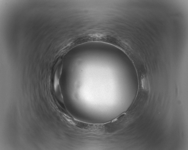 X0000081431347200701191611