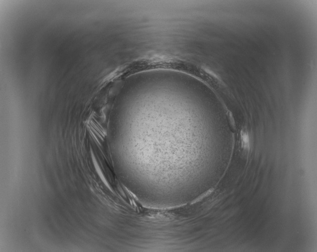 X0000081431348200701191611