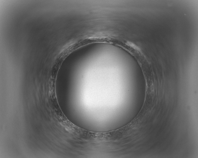 X0000081431350200701191611