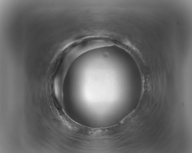 X0000081431352200701191611