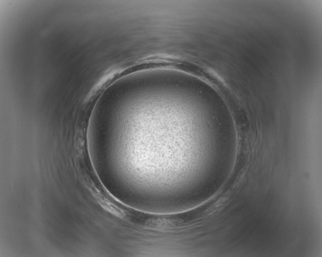 X0000081431355200701191611