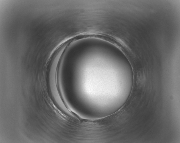 X0000081431356200701191611