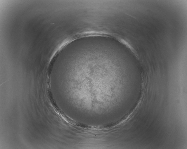 X0000081431357200701191611