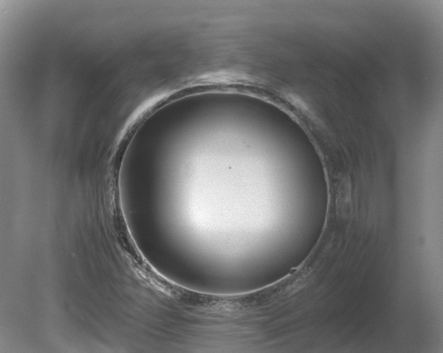 X0000081431358200701191611