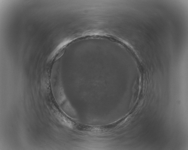 X0000081431359200701191611