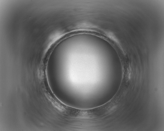 X0000081431360200701191611