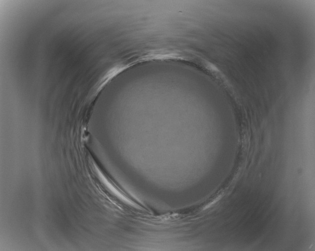 X0000081431361200701191611
