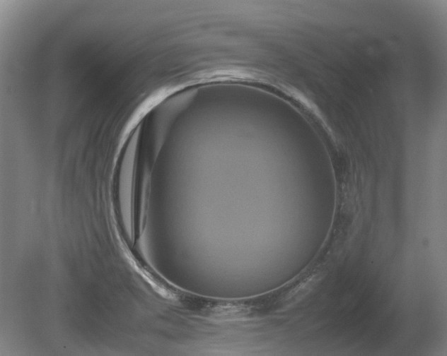 X0000081431373200701191611