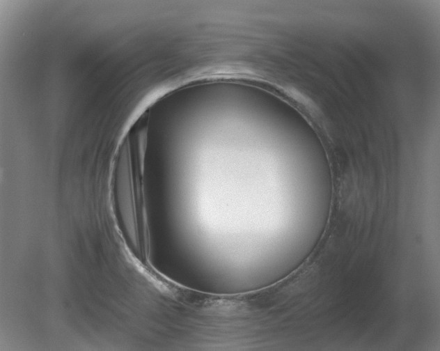 X0000081431374200701191611