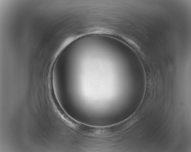 X0000081431375200701191611