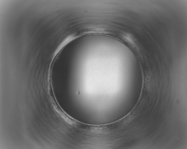 X0000081431378200701191611
