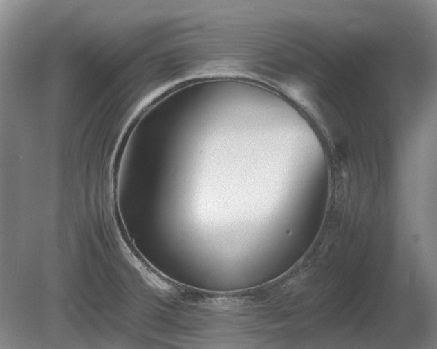X0000081431380200701191611